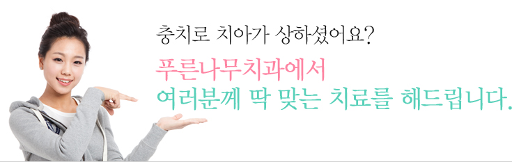 충치로 치아가 상하셨어요? 푸른나무치과에서 여러분께 딱 맞는 치료를 해드립니다.